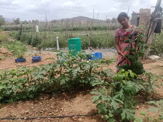 Natural farming photograph