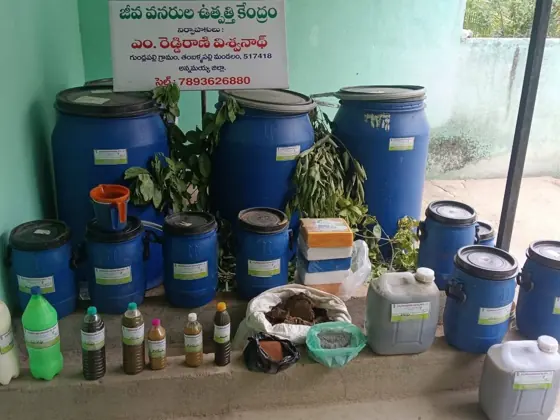 Natural farming photograph